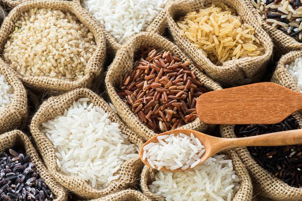 Book Extract: The Meaning of Rice