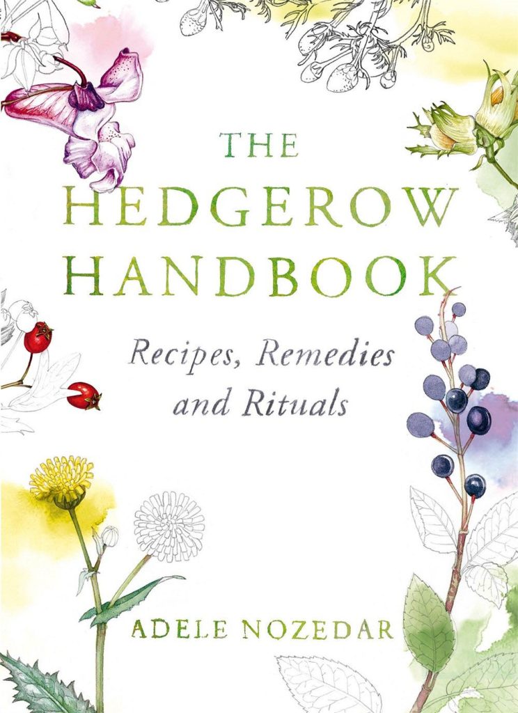 The Hedgerow Handbook: Recipes