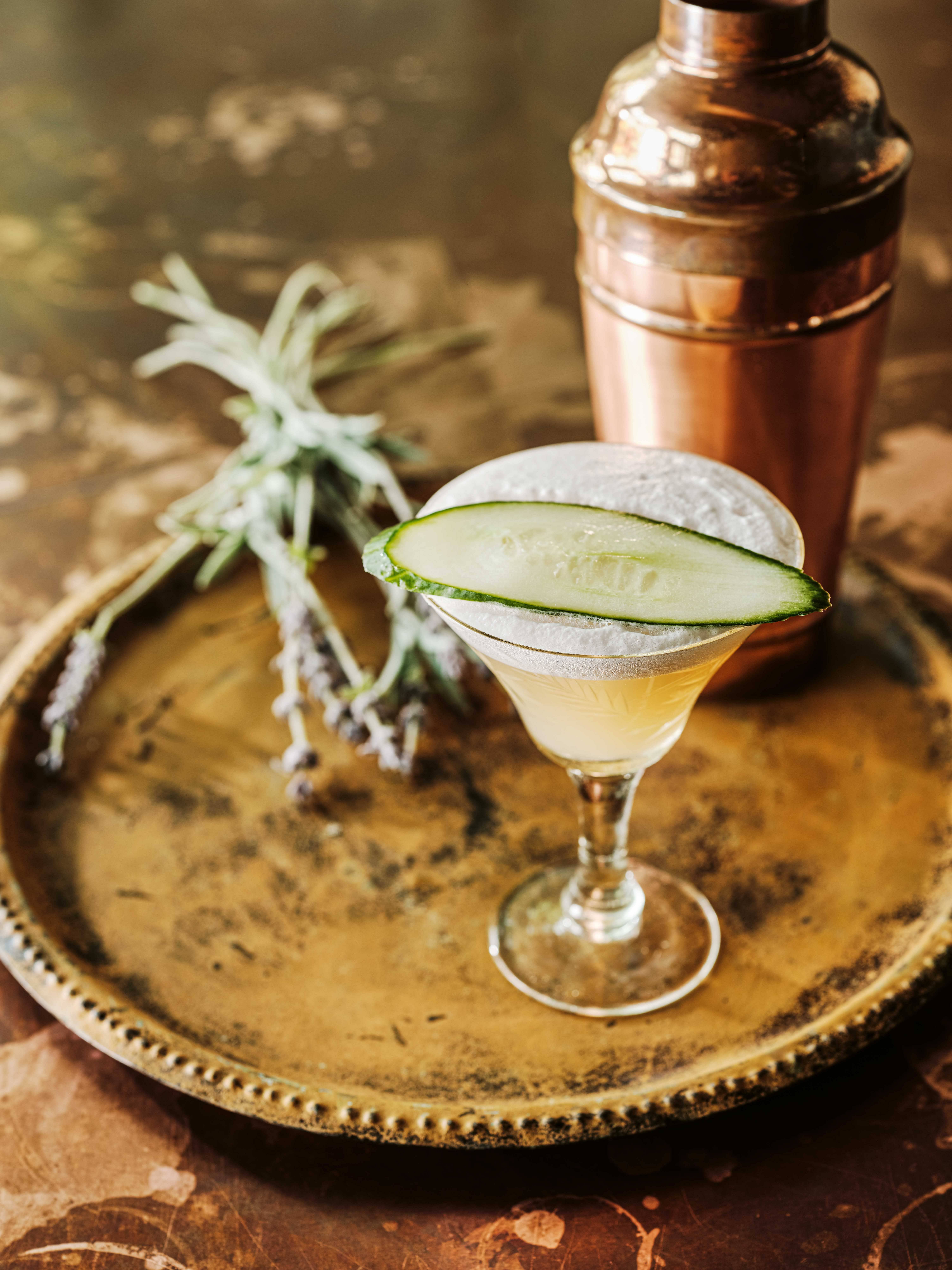 Garden Martini Cocktail Recipe | Gin Coupe