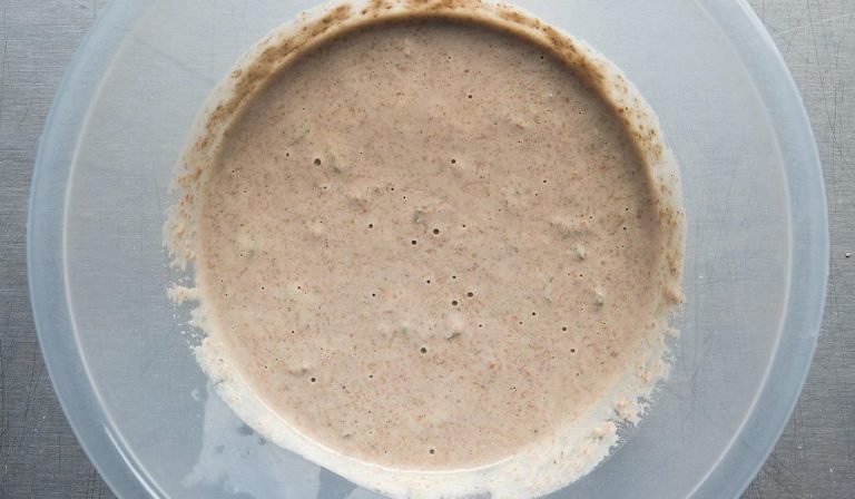 Sourdough Starter – Aka Mother