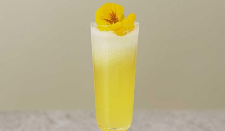Seedlip Clements Mocktail Recipe | Non-alcoholic Summer Drinks