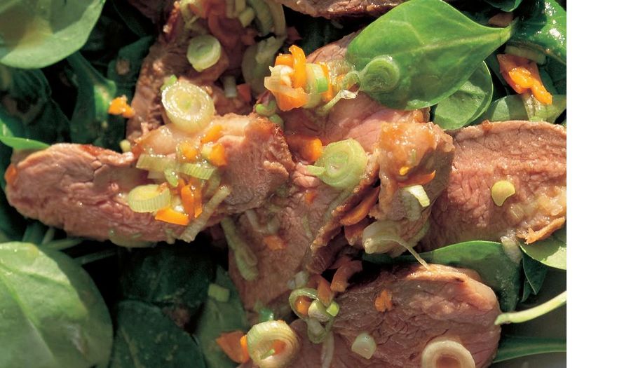 Gingery-Hot Duck Salad