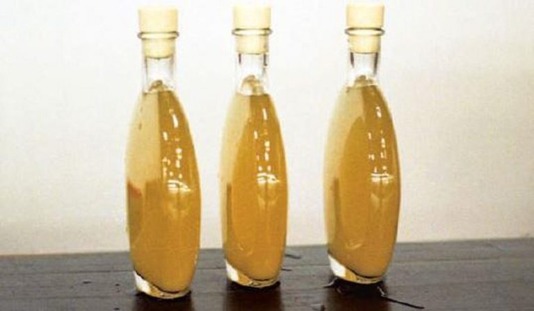 Ginger Beer from The Groundnut Cookbook