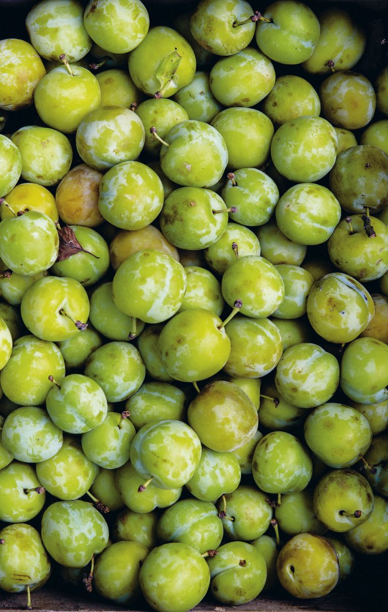 Greengage and Flaked Almond Jam | The Modern Preserver