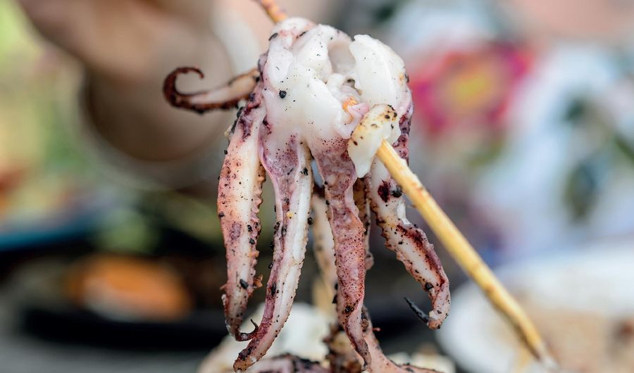 Kiwi-Marinated Squid with Chermoula Dressing