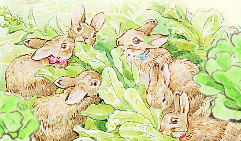 Once Upon a Thyme: Spring recipes with Peter Rabbit