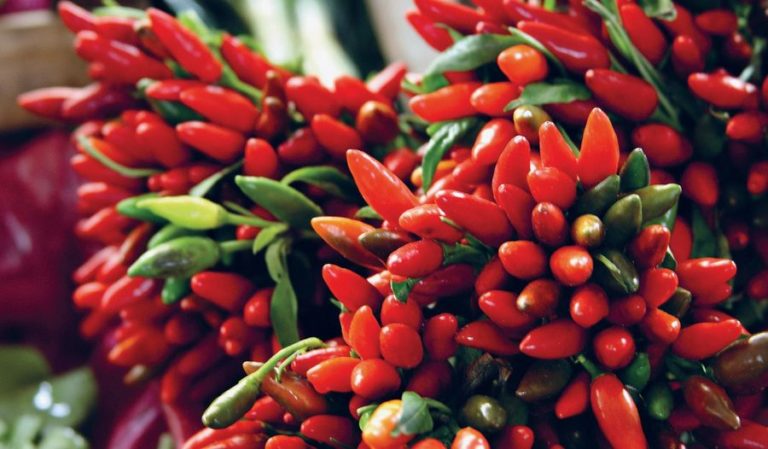 Chillies Preserved in Oil (Peperoncini Sott’Olio)