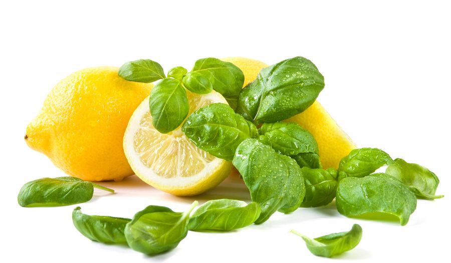 Basil-Flavoured Lemon Sorbet (Sorbetto di Limone al Basilico)