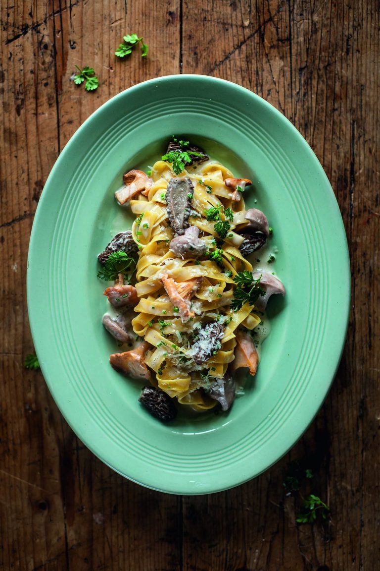 Tagliatelle of wild mushrooms