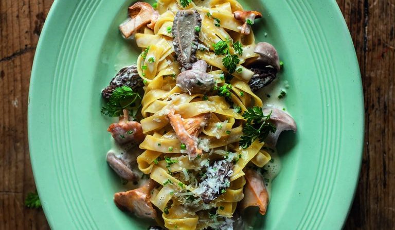 Tagliatelle of wild mushrooms