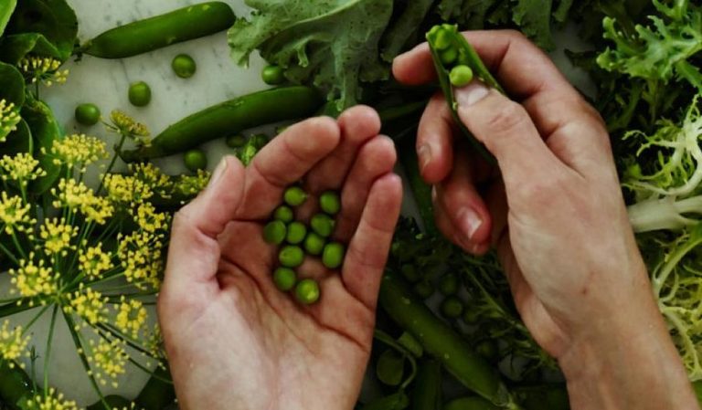 Cook from the Book: The New Vegetarian