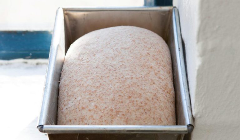 Wholemeal Bread
