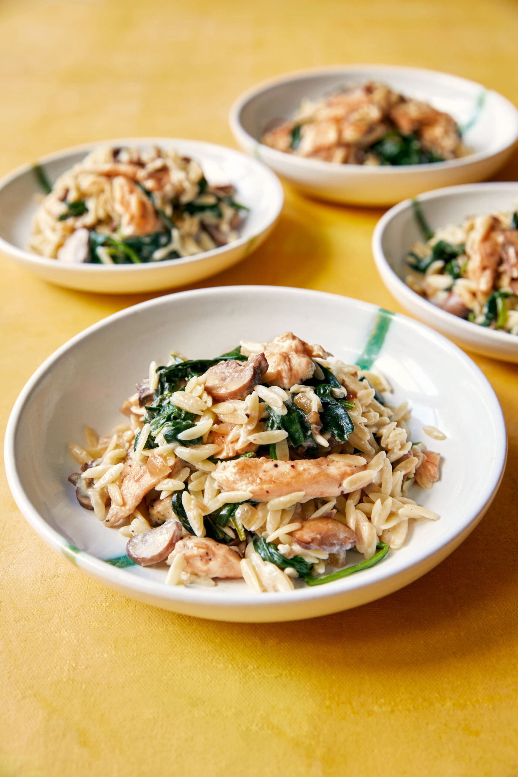 mary berry chicken orzo recipe