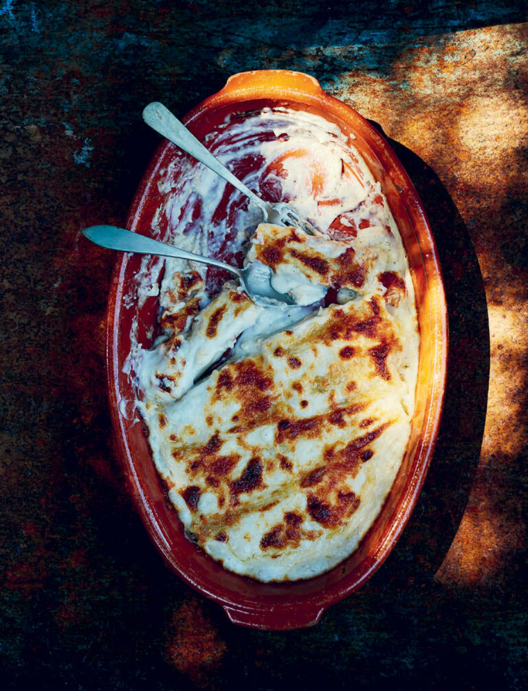 Jose Pizarro chicken cannelloni