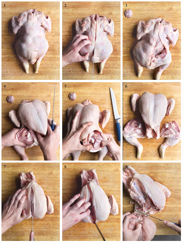 How to Joint a Chicken | Catherine Phipps