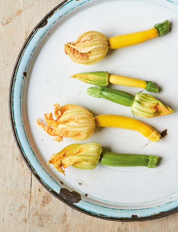 Courgette Flowers 