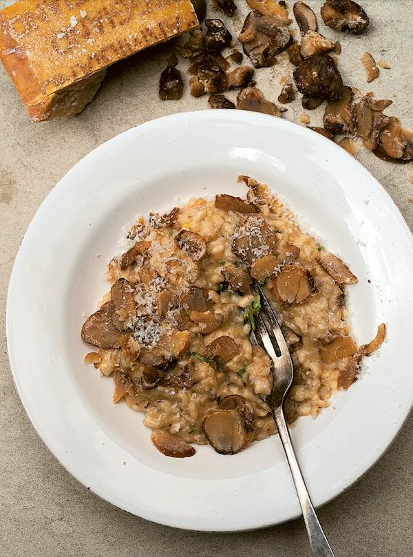 best risotto recipes chestnut and truffle risotto angela hartnett