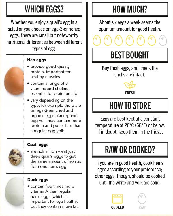 Egg Resource | Information